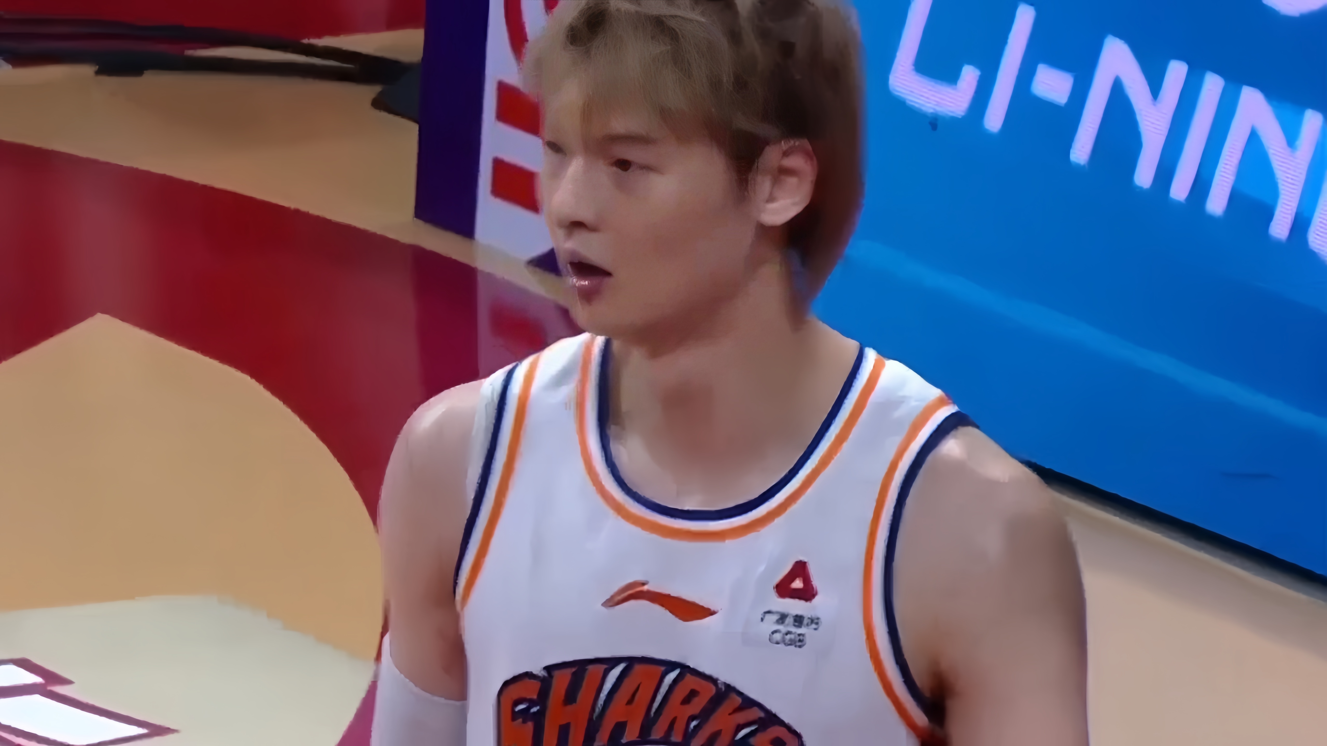 崖州湾林海案件详情-竞博体育